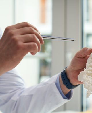 Medical provider holding up model of lumbar spine and pointing at a particular spot, used to explain a Lumbar spine mri